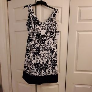 Chaps Dress-new